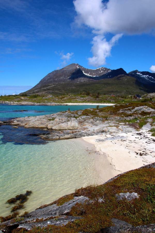 Superior Cottage With Sea View In Senja Senjehesten Bagian luar foto