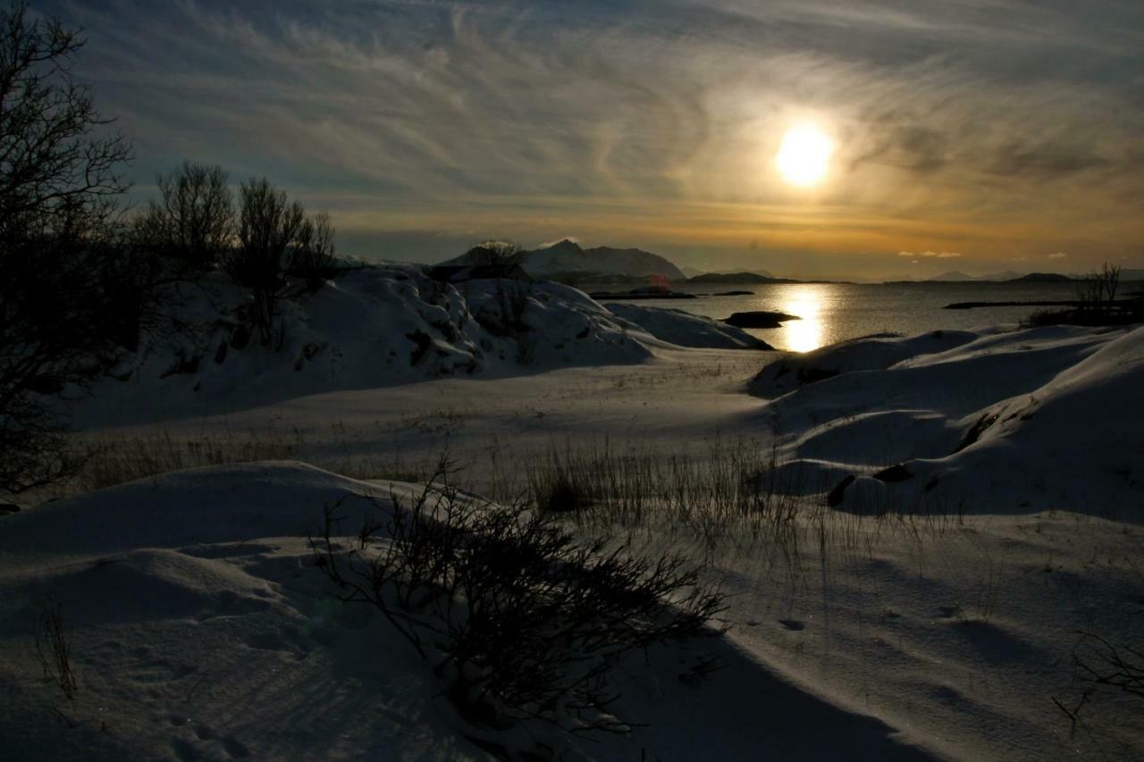 Superior Cottage With Sea View In Senja Senjehesten Bagian luar foto