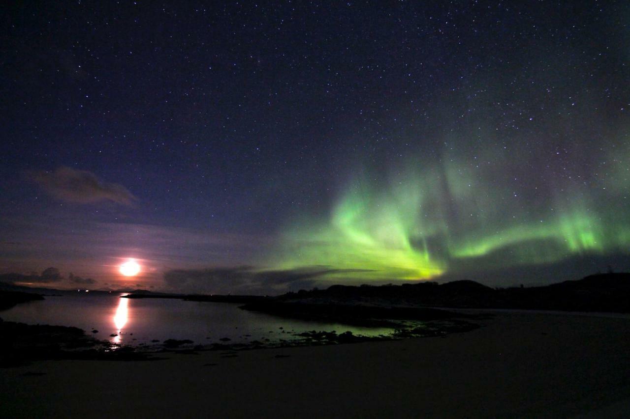 Superior Cottage With Sea View In Senja Senjehesten Bagian luar foto